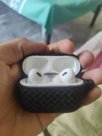 Airbirds