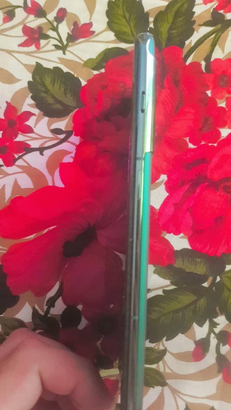 1 plus 10 pro 1