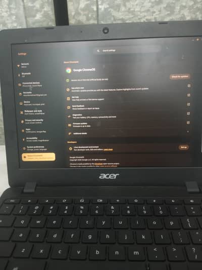 Acer chorme book