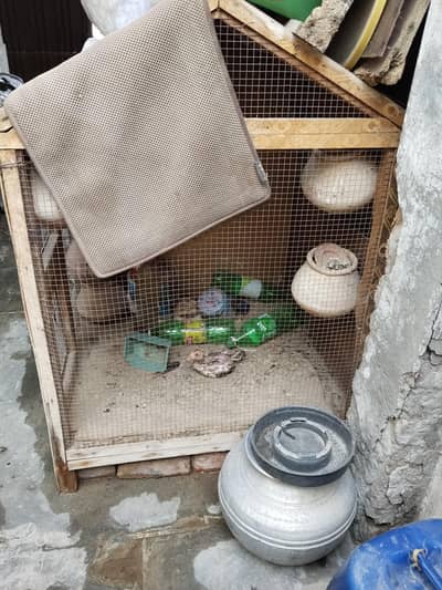 Cage full size
