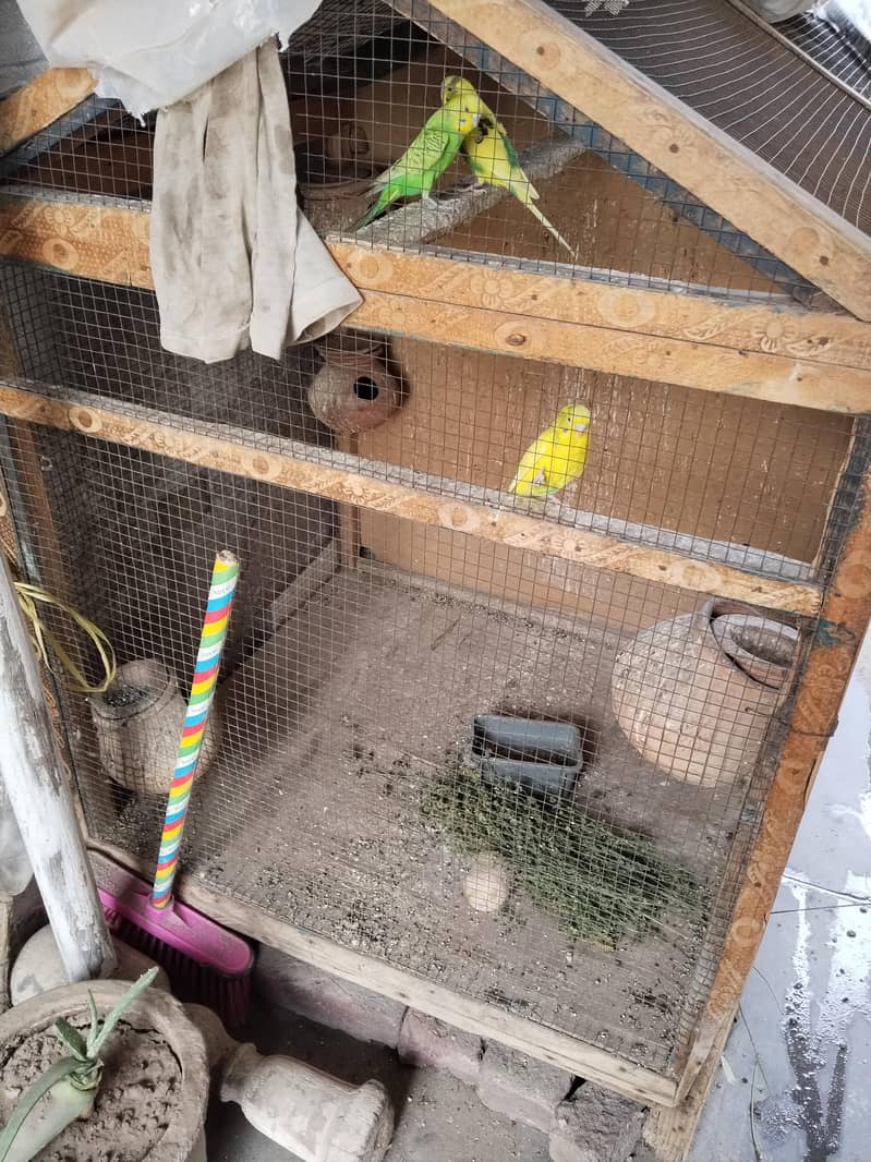 Cage full size 1