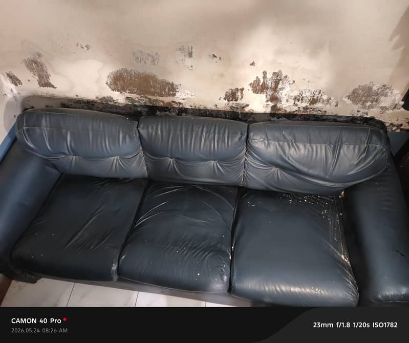 sofas 1