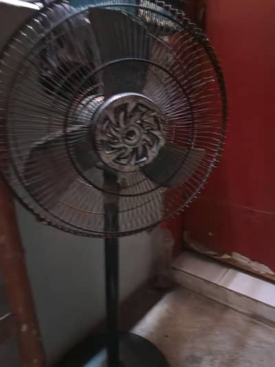 Souler fan
