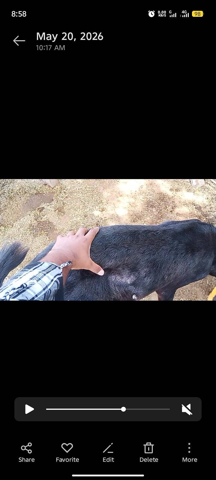 bakra for eid 3