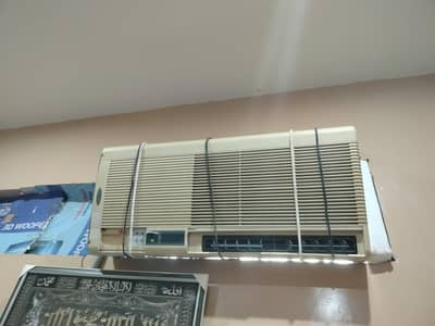 window Ac 110