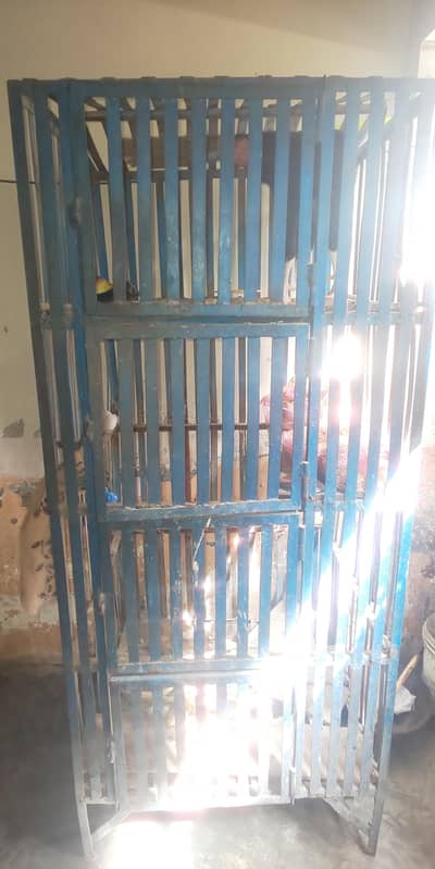 aseel 2500