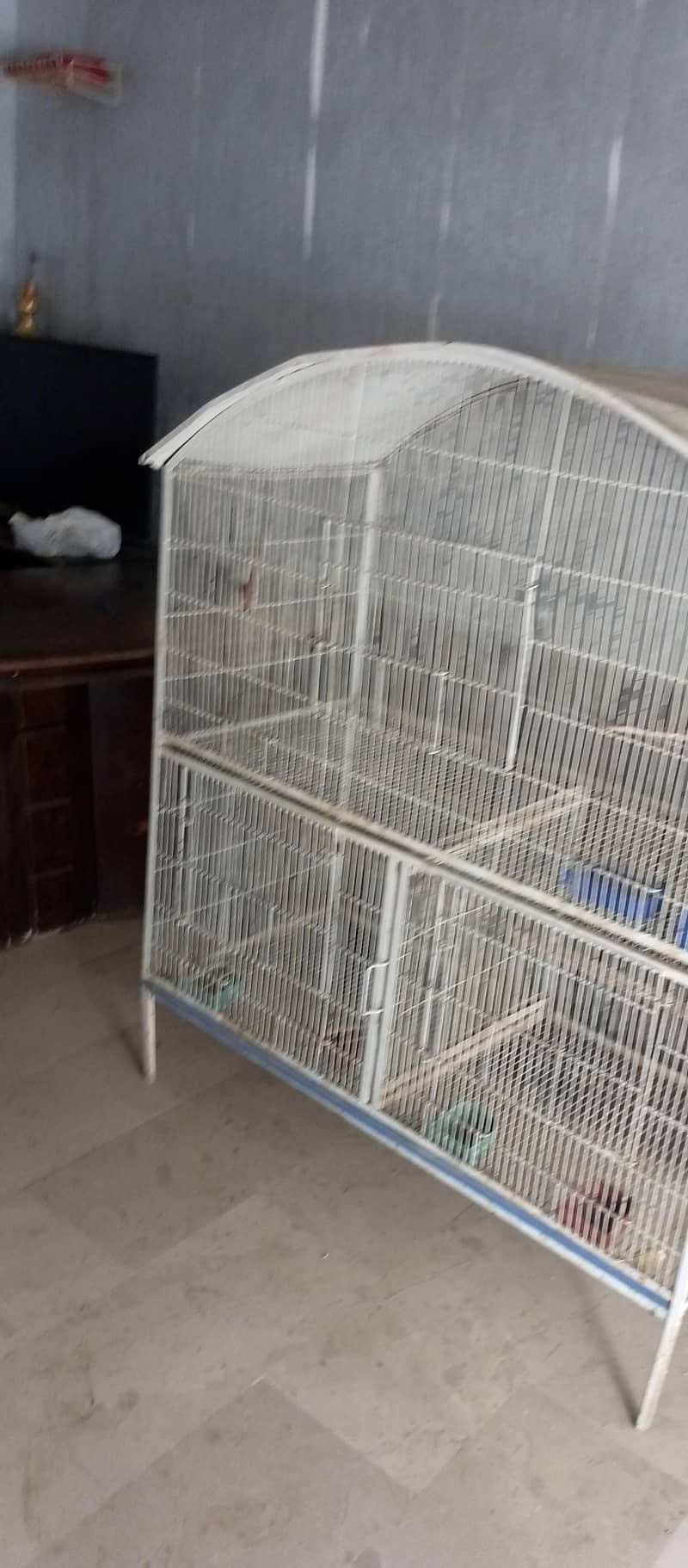 cage. 2