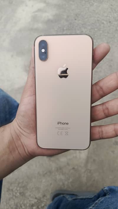 Iphone XS 256 GB