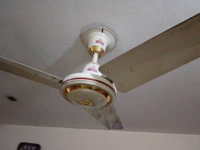 celling fan Indus fan