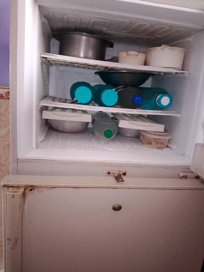 pel refrigerator