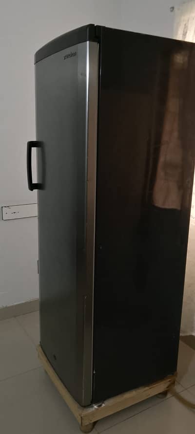 Vertical Freezer – 210L, Stainless Steel | Excellent Cooling