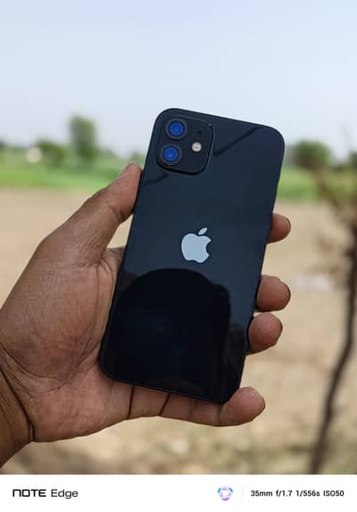 Apple iPhone 12