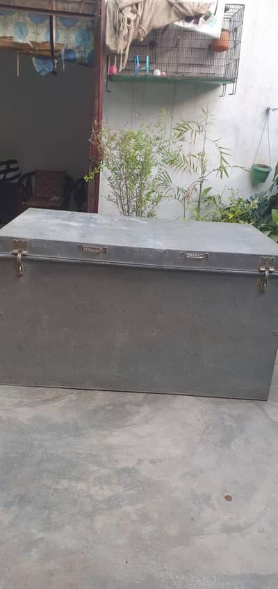 petti 5.5 fit original 16 gaje