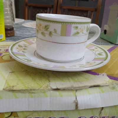 Set of 6 cups with saucer (Excellent Quality)
