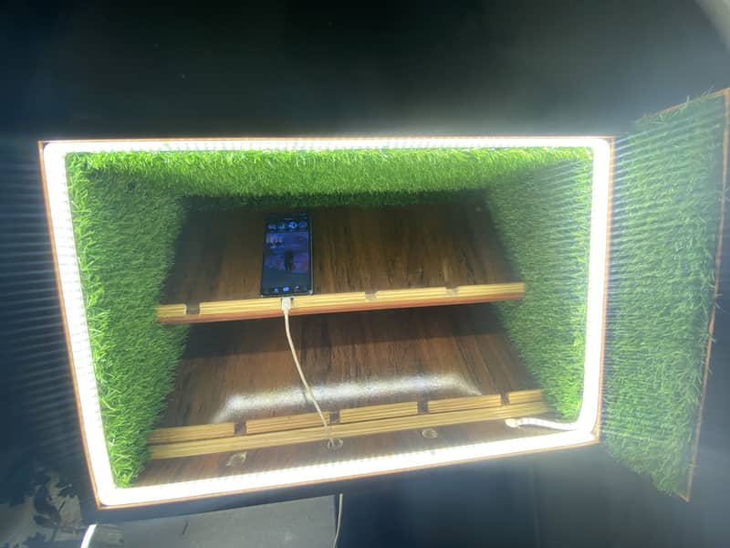 Mobile lighting cabinet 1