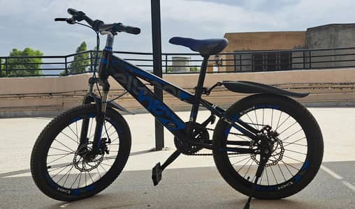 Slightly used Top of the line 20  Inch Bicycle