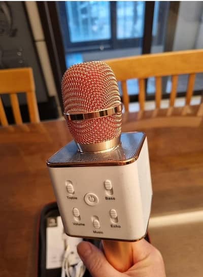 Bluetooth Mini Mic with Speaker for Home & Party Use
