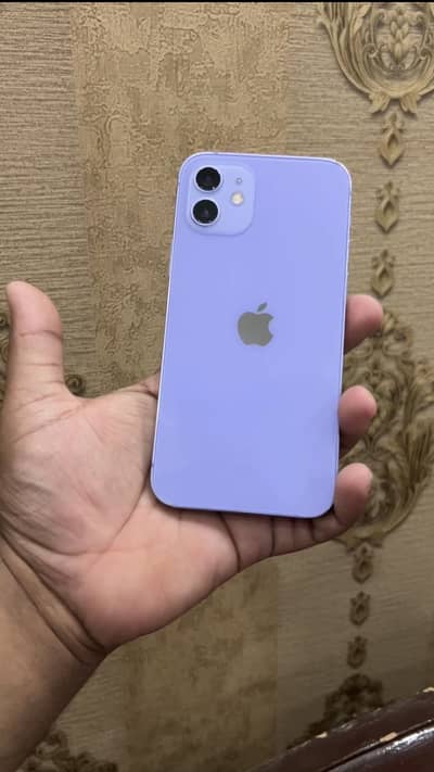 iPhone 12