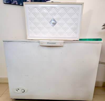 Waves WDF 313 Single door deep freezer