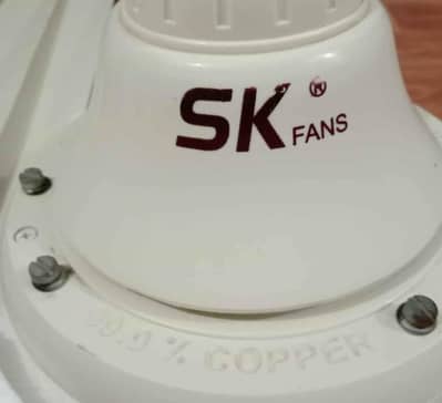 SK fan