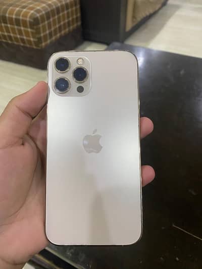 Iphone 12 pro max pta approved