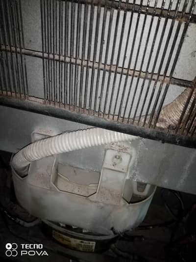 Haier family size fridge compressor for sale