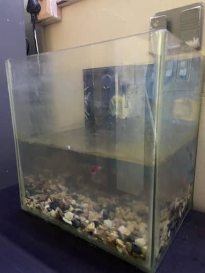 Aquarium