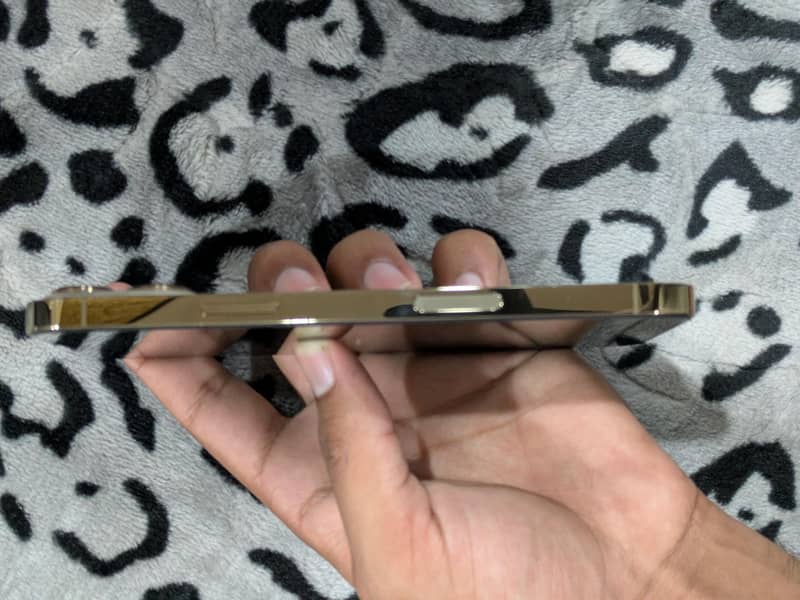 Iphone 13 PRO MAX 3