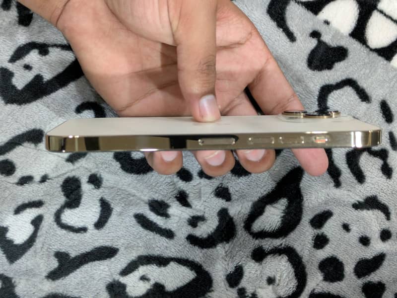 Iphone 13 PRO MAX 4