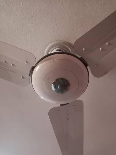 PAK FAN Original (AC) 4 Fan Available For sale
