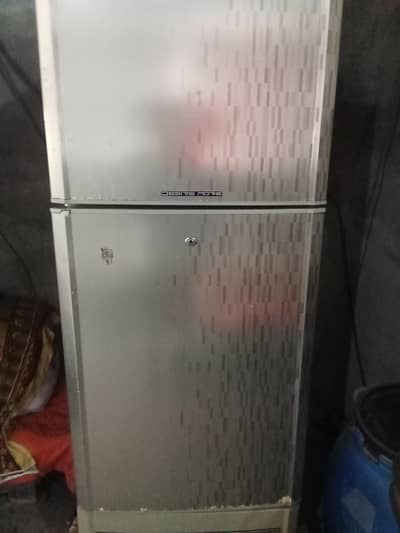 Freezer company PEL medium size