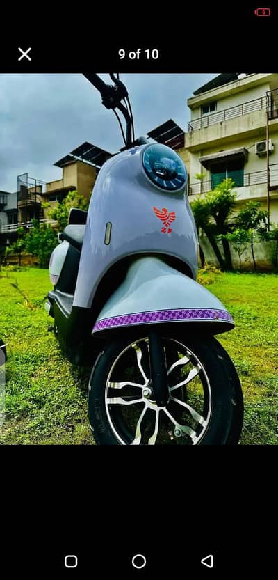 zhongfa Scotty. for sale