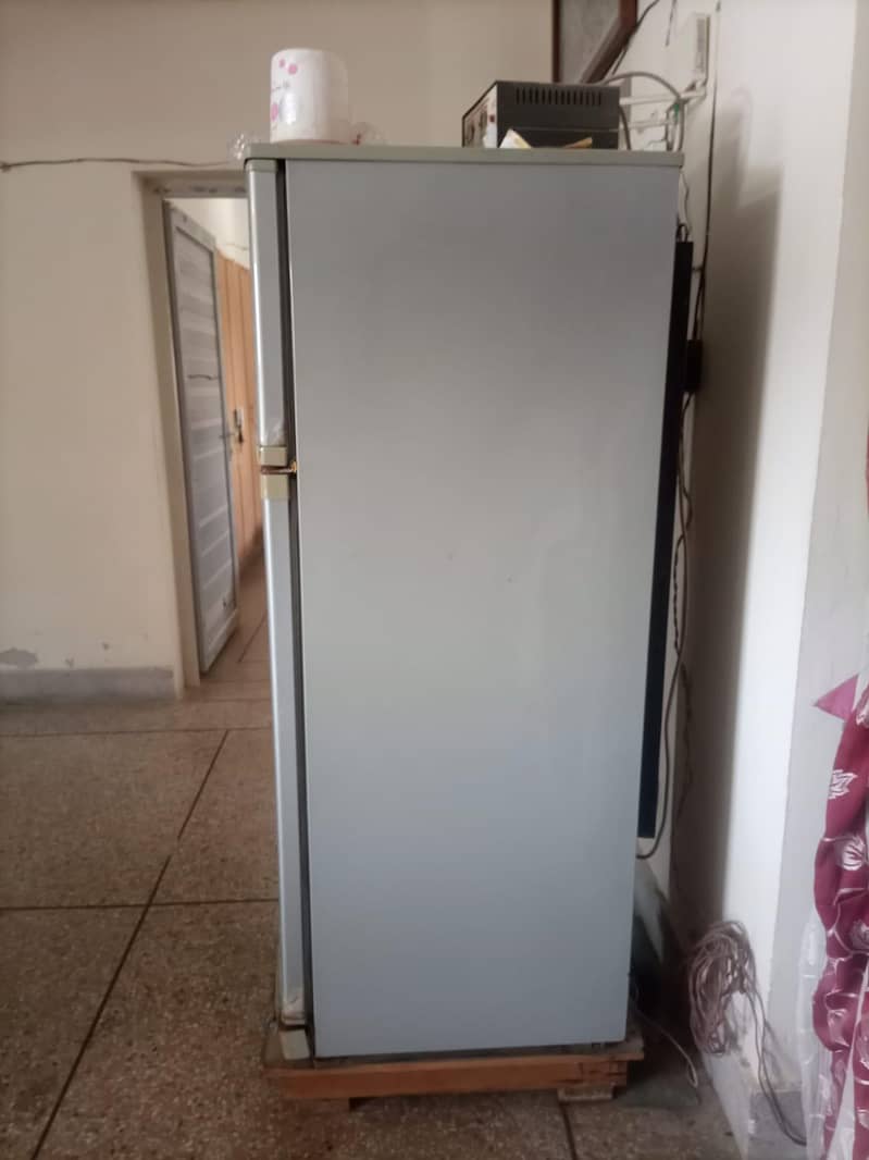 waves freezer 1