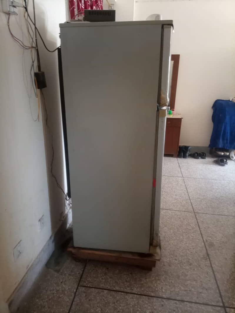 waves freezer 2