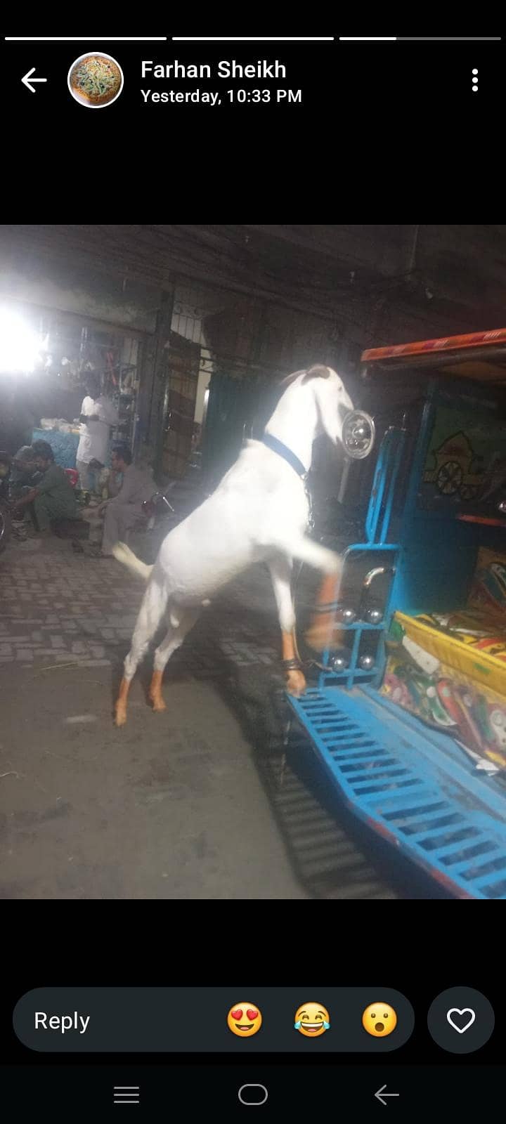 Bakra 0