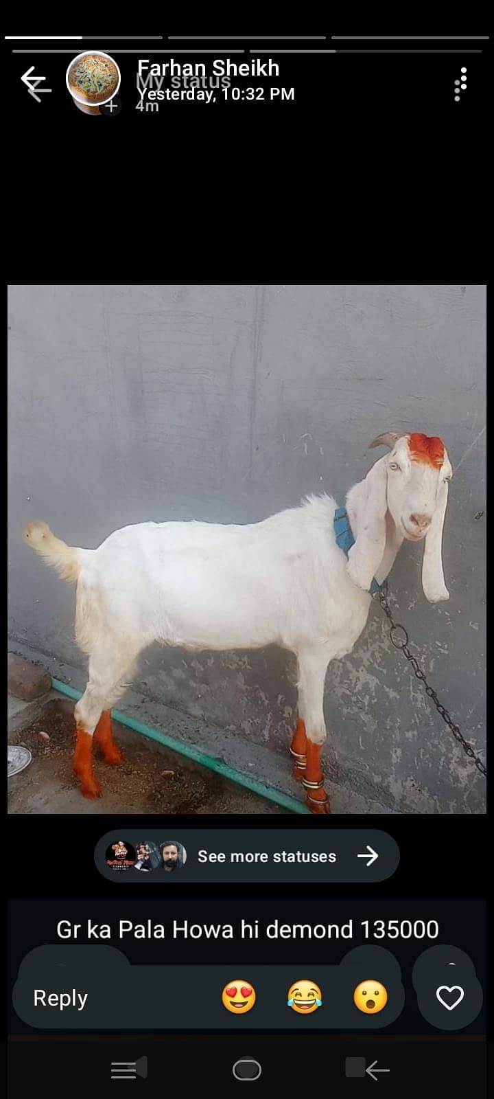 Bakra 1