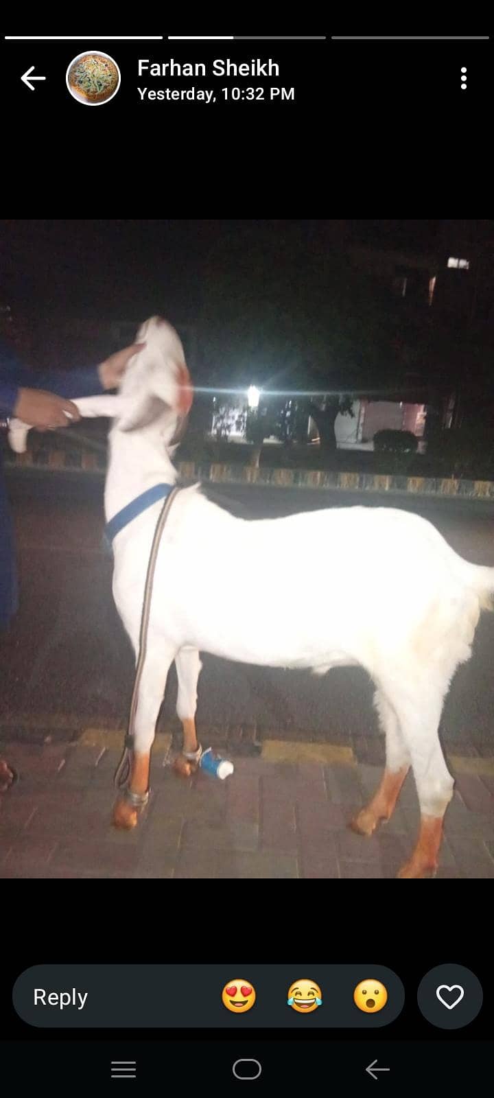 Bakra 2