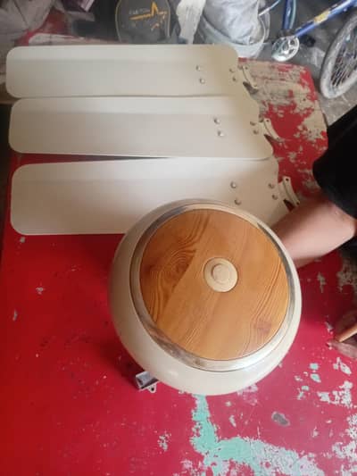 fan for sell