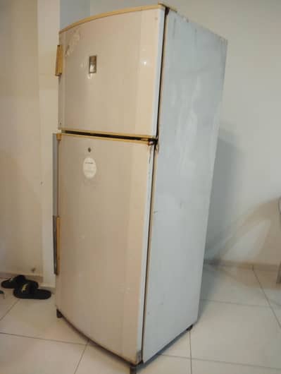 14 qubic fridge