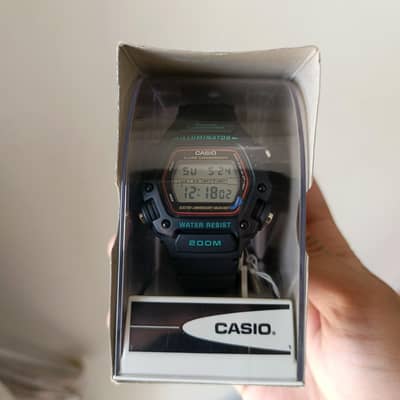 Casio DW-290 VINTAGE