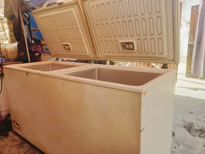 Freezer full size