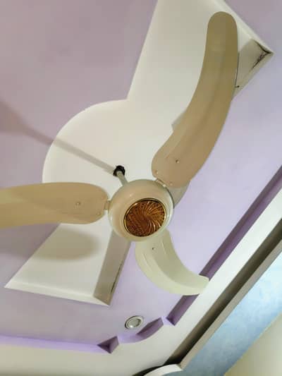 GFC Celling Fan