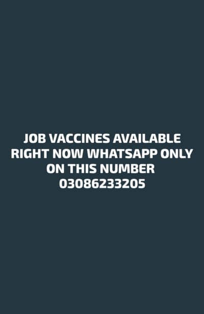 VACCINES AVAIL HERE