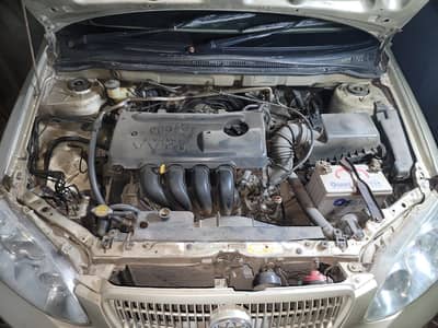 Altis 2005