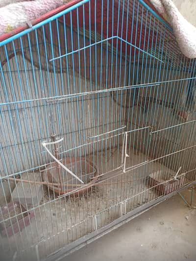 cage good condition