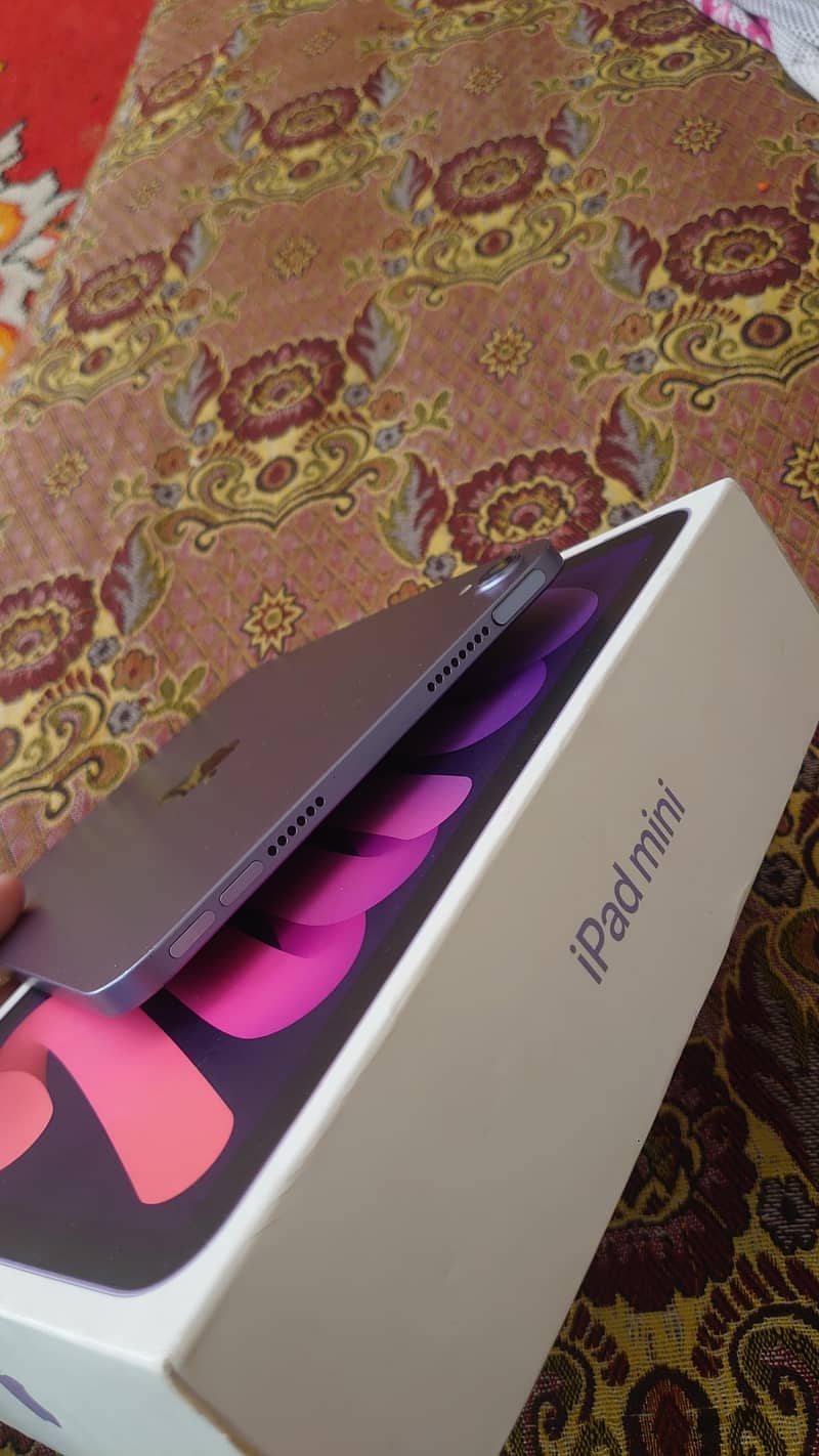 ipad mini 6 5