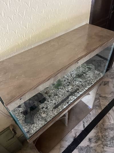 3Ft Fish Aquarium