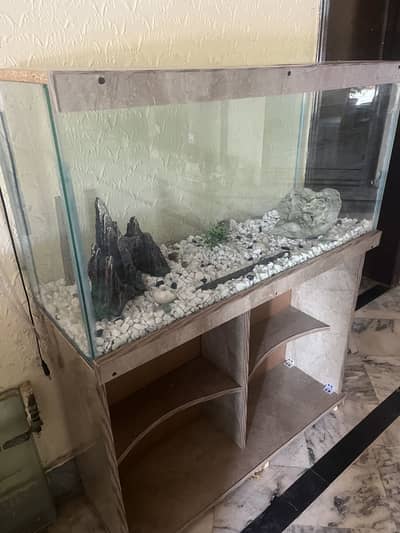 3Ft Fish Aquarium