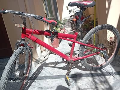 Mountain Cycle, 24 inches, without gears for sale