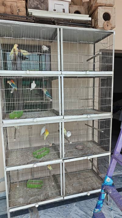 8 portion cage for sale